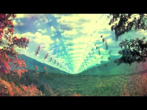 Tame Impala (+) I Don't Reall Mind