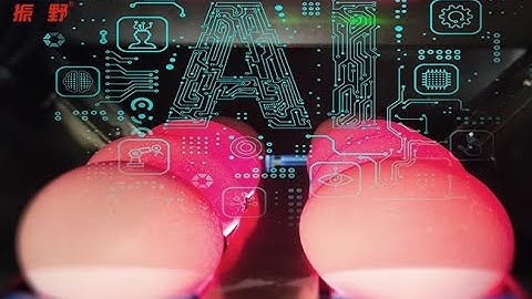 Zenyer visual AI egg crack detector attached on 2-row egg grader-Zenyer 101BJ egg grader