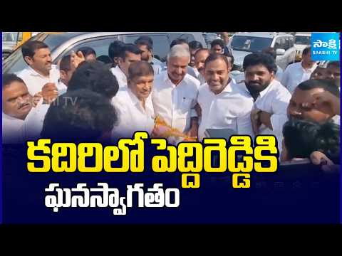 కదిరిలో పెద్దిరెడ్డికి ఘన స్వాగతం | Peddireddi Ramachandra Reddy Receives Grand Welcome in Kadiri - SAKSHITV