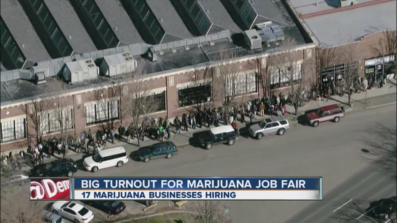 Big turnout for marijuana job fair YouTube
