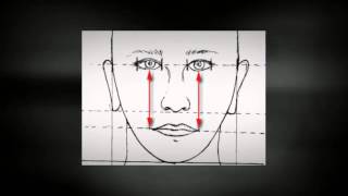 Proportions of the Human Face
