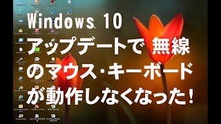 Windows 10 アップデート で 無線マウス・無線キーボード動作不能になったので対処と対策