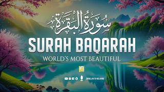 Surah Al-Baqarah (سورة البقرة) | World’s Most Relaxing Quran for Sleep & Inner Peace #relaxingquran screenshot 5