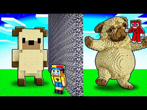ARKADAŞIMI YAPI KAPIŞMASINDA PIBBLE ile TROLLEDİM !! - Minecraft