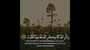 {{ الَّذِينَ آمَنُوا وَتَطْمَئِنُّ قُلُوبُهُم بِذِكْرِ اللَّهِ...}} القارئ علي جابر