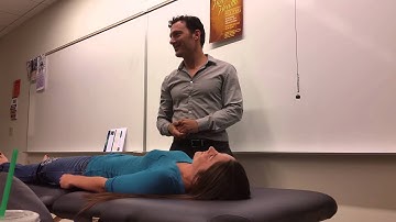 Muscle Testing Demo and Explanation | The Whitten Method