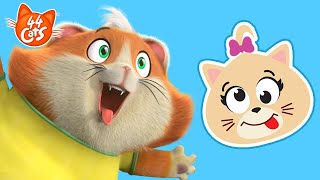 44 Cats | Let's make funny faces with Meatball! 😽😜 by Rainbow Junior - English 23,349 views 1 month ago 11 minutes, 24 seconds
