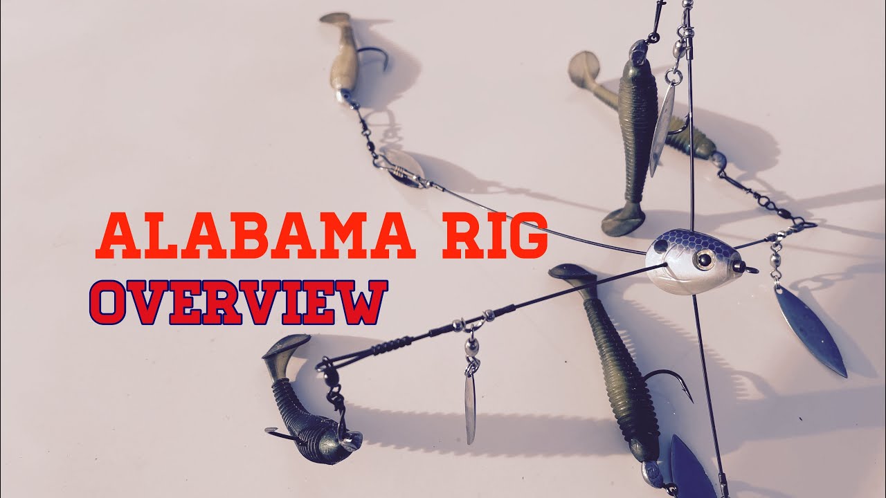 Throw this NOW!, Alabama Rig Overview