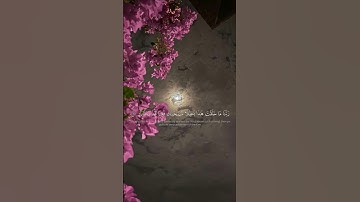 آيات من سورة آل عمران بصوت الشيخ ماهر المعيقلي || #اكسبلور #قرآن
