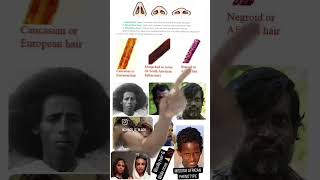 Black Phenotypefeatures blackpeople blackhistoryfacts ulotrichi chaosedition playtrrhinenose