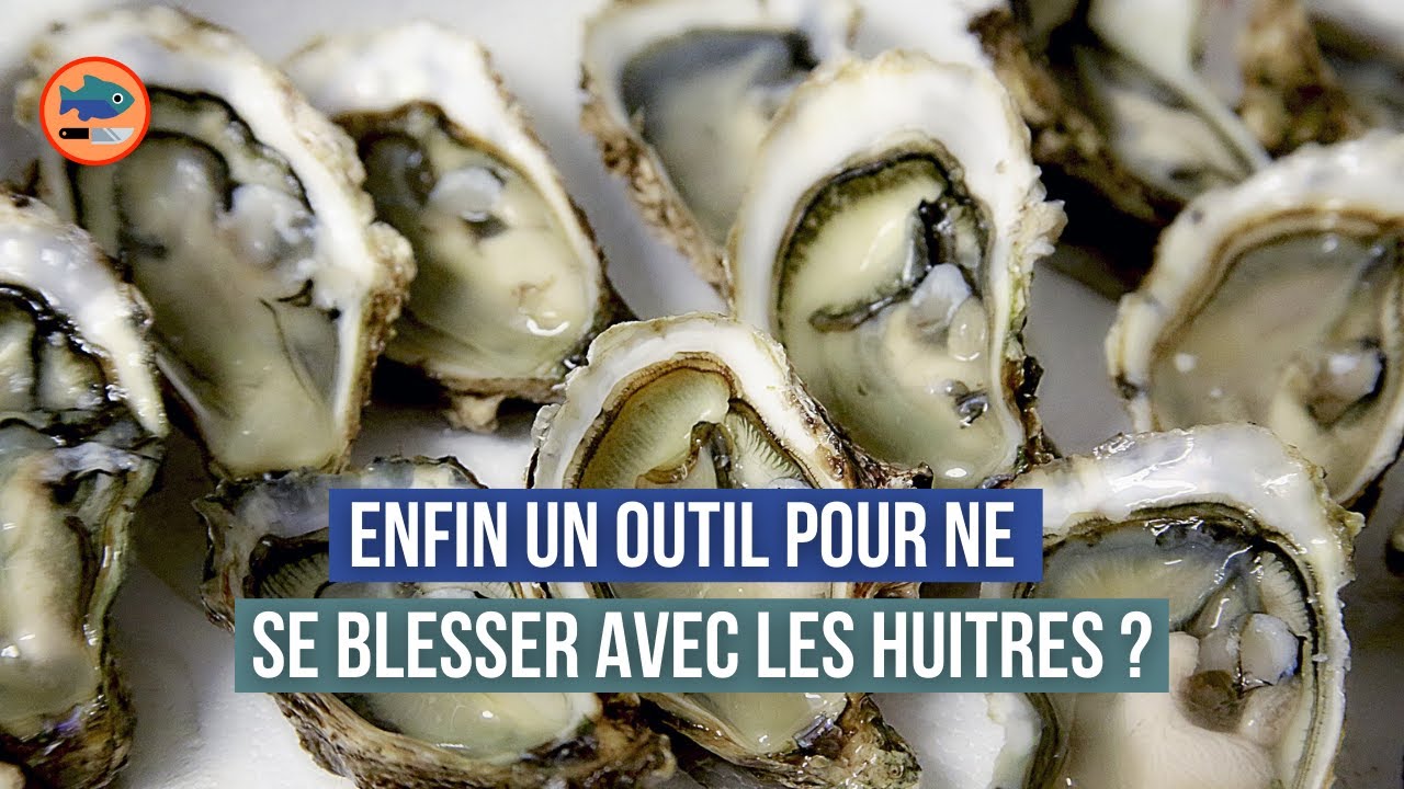 Pince à Huître Ostra 