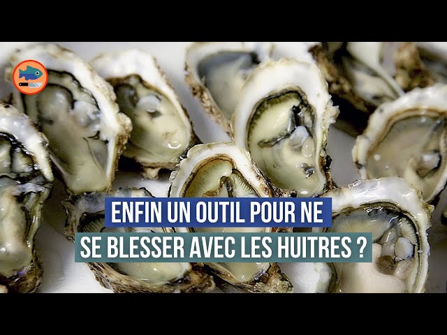 BIWASimple Machine à Ouvrir Les Huîtres, Outils pour Fruits de Mer
