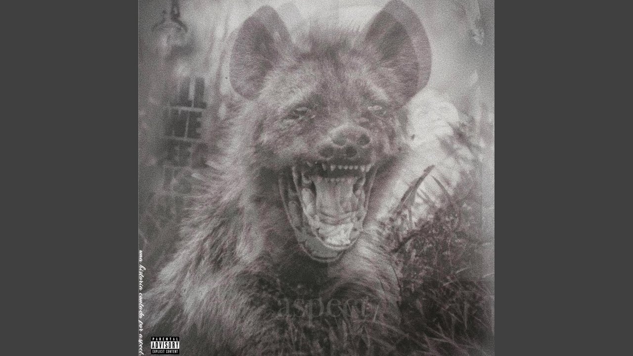 Watch Euphoric. on YouTube Watch Euphoric. on YouTube