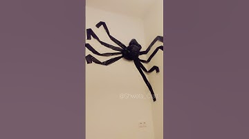 DIY Giant spider with garbage bag #halloweendecor #halloweendiy #halloween #halloweencraft