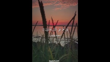 سورة الذاريات #قرآن #راحة_نفسية #المسبحة_اونلاين