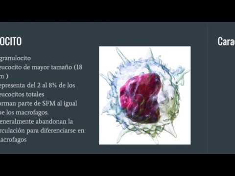 Vídeo: Monocitopenia: Causas, Síntomas Y Tratamiento