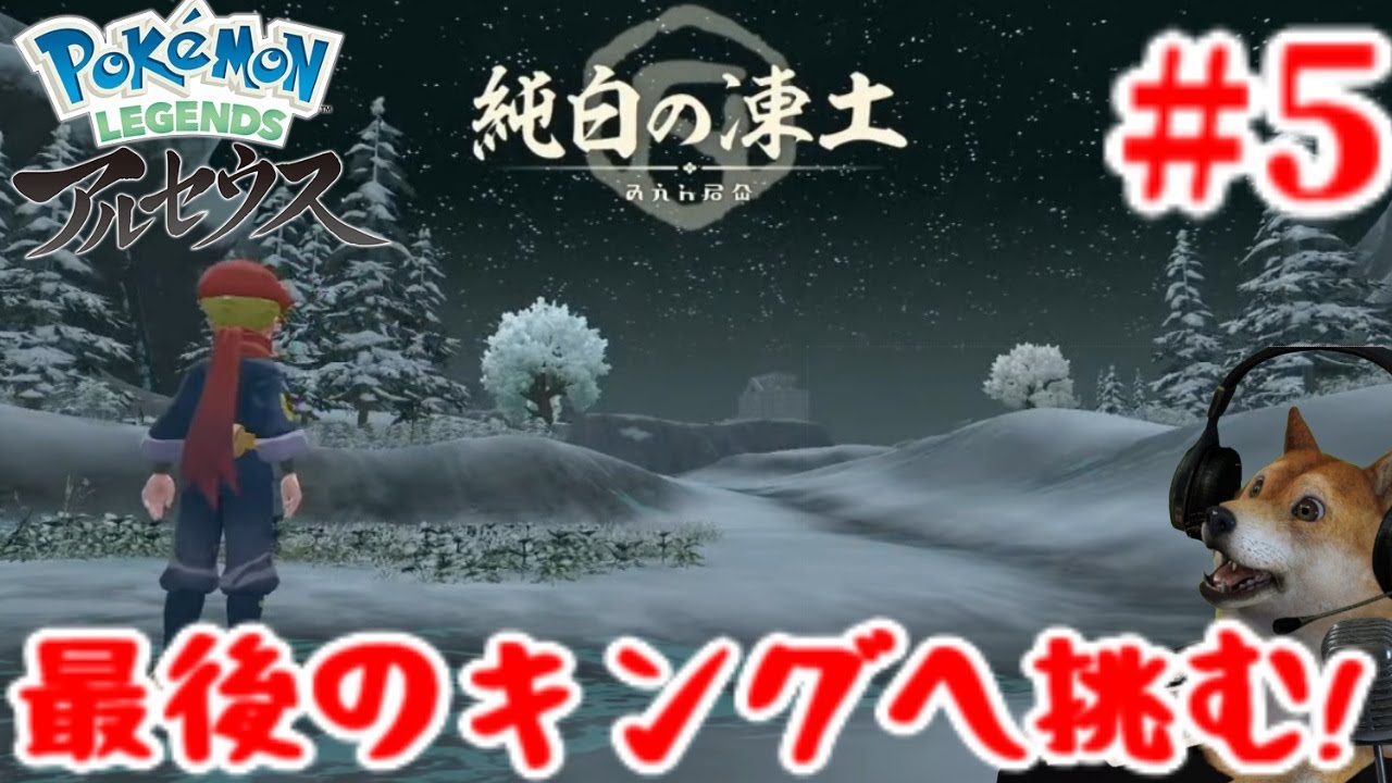 ポケモン レジェンズ アルセウス & どうぶつの森 Amazon.co.jp: NONAME ポケモン レジェンド アルセウス