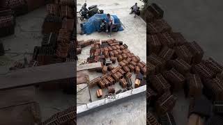 Emang beneran panas? #genteng #gentengmorando #minivlog #youtubeshorts