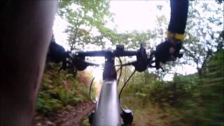 Mtb 27 10 2013 Pitbull, Trhif Shop Y Flo Rida