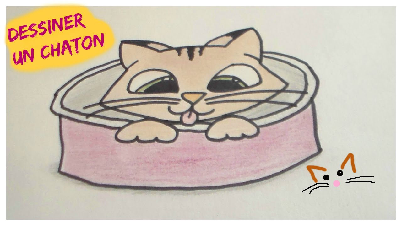 Tuto Dessiner Un Chaton Dans Son Panier Youtube