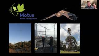 MOTUS Wildlife Tracking System with Scott Weidensaul
