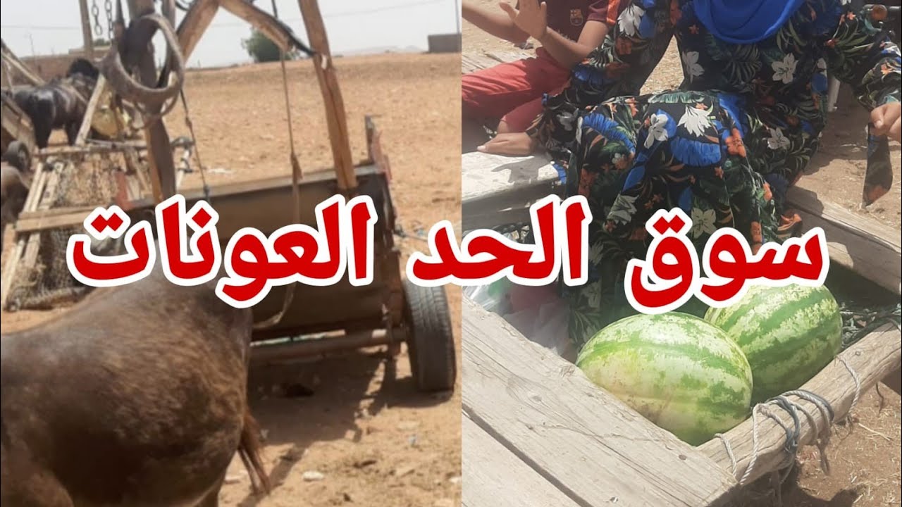 سوق حد العونات