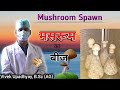        mushroom spawn preparation  mushroom spawn making 