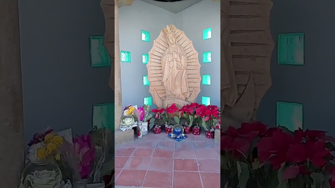 Una imagen muy bonita