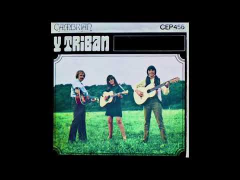 Triban — Y Triban - Aur Y Wawr