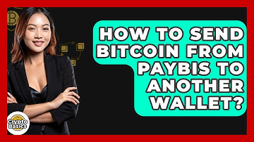 How to Send Bitcoin from Paybis to Another Wallet? - CryptoBasics360.com
