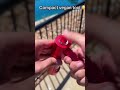 The tool you should be using 😩🔗Link In Bio 💡😮🍃