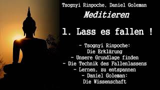 1. Lass es fallen! - Meditieren - Tsognyi Rinpoche, Daniel Goleman