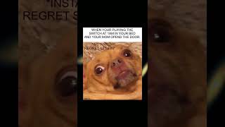 Upvote this meme if its relateble 😂 #Memes #Shorts