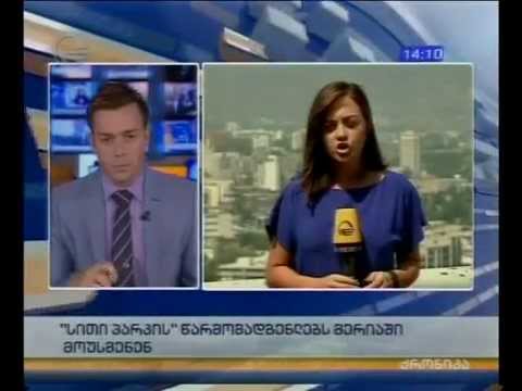 თბილისის მერიაში „სითი პარკის“  წარმომადგენლებს მოუსმენენ