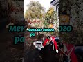 Как сажать плодовые на полукарликовом подвое.#яблоня #сад #дача #дачасвоимируками #благоустройство
