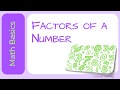 Understanding Factors and Number Classification