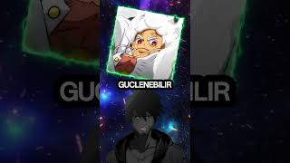 Luffynin Bir Sonraki Formu Onu Gerçekten Tanrı Kademesine Yükseltebilir