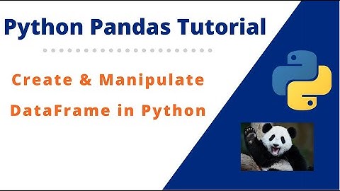 #6 How to manipulate Python Pandas DataFrame | Python Pandas Tutorial