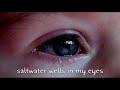 Saltwater- by Julian Lennon Visual Interpretation