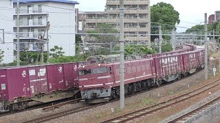 【JR貨物】遅１０７４レ ＥＨ５００-４９ & 遅１０７１レ ＥＦ８１-７１７