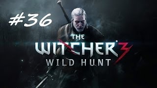 The Witcher 3: Wild Hunt #36 - Insomnia