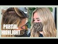 STEP BY STEP PARTIAL HIGHLIGHT! Babylight, Root Smudge, & Toning Breakdown Tutorial!!!