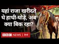 Sonepur Cattle Fair: जहां कभी राजा हाथी ख़रीदने आते थे, उस मेले की रंगत क्यों खो रही है? (BBC Hindi)