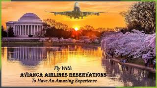 Get Amazing Experience With Avianca Airlines Flights