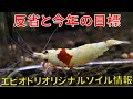 【アクアリウム水槽熱帯魚】反省と今年の目標 エビオドリオリジナルソイル情報