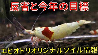 【アクアリウム水槽熱帯魚】反省と今年の目標 エビオドリオリジナルソイル情報