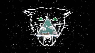 Dexter Bearcat Video Music [Wild Night at Harry's - Harry Edvino]