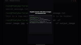 Steghide: Hiding Data in Images via CLI