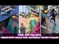 Amazing Dog Catching Moment Tumkur City । Public With Dog Safety #dog #vlog #video