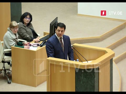 პარლამენტის 2020 წლის საქმიანობის ანგარიში